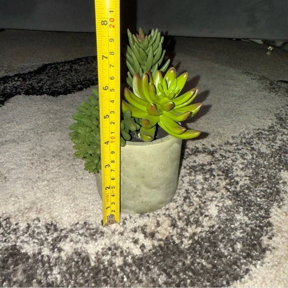 Plant succulent in pot green rocks Green Succulent Arrangement in Gray Planter